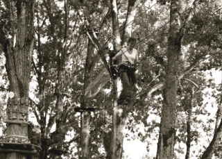  Curso tipo acrobranche en Divonne les Bains 